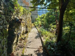 Nesso, appartamento con giardino e vista lago