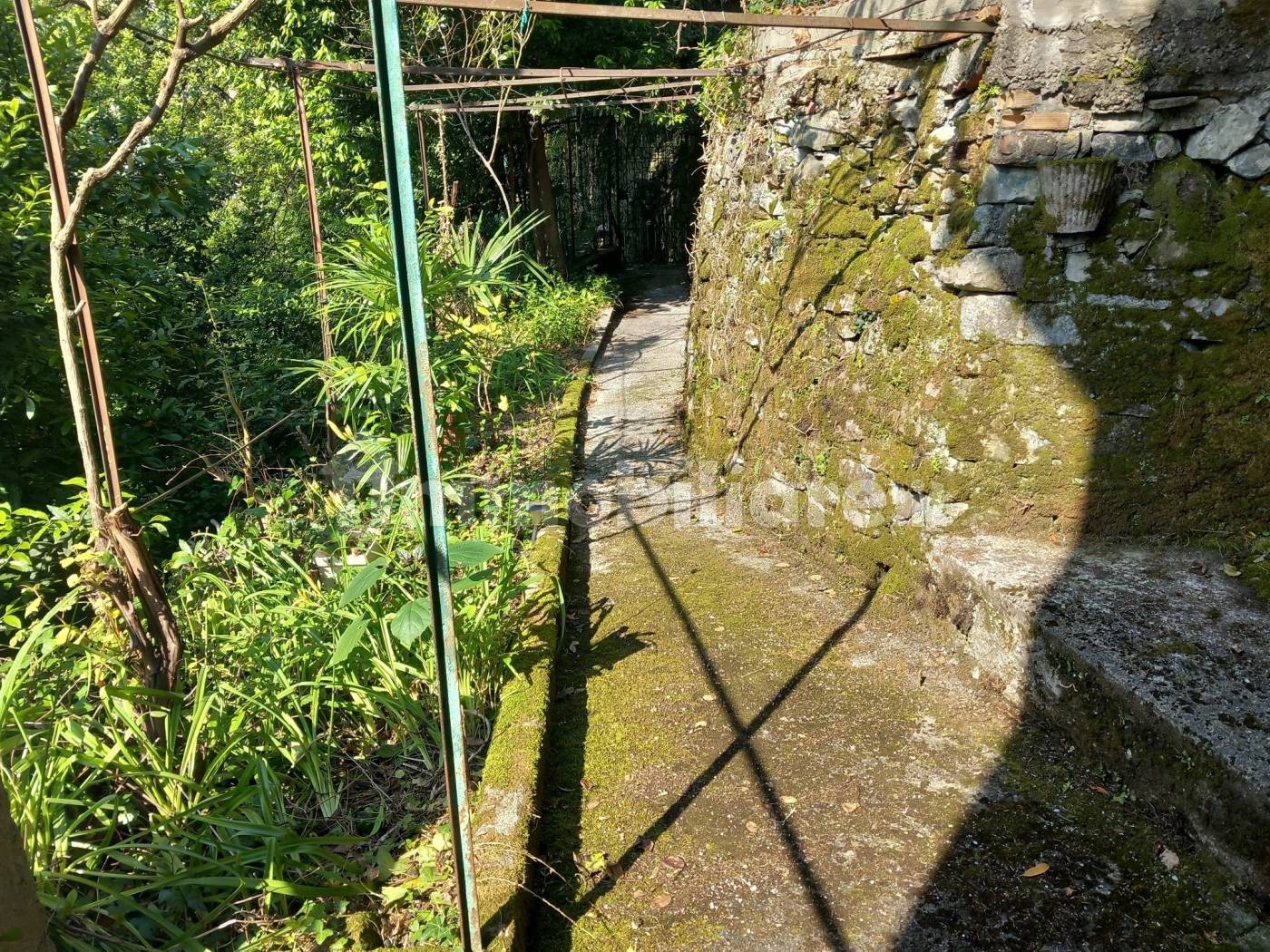 Nesso, appartamento con giardino e vista lago